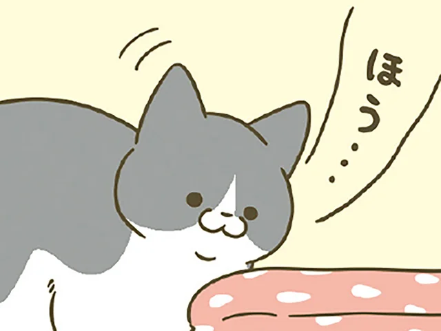 「ほう」「ほうほう」飼い主が作ったあったかベッドに興味津々の猫