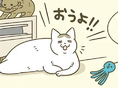 飼い主にかまってくれる猫