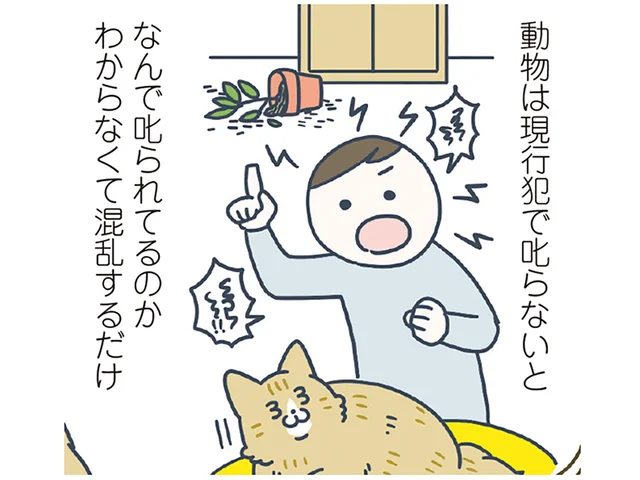 現行犯で叱らないとダメ？ 猫のイタズラ、敢えて黙々と片付けていたら