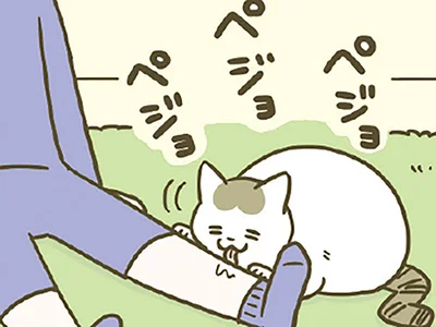 飼い主の脛を舐め続ける猫