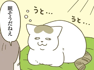 猫に話しかけていたら…