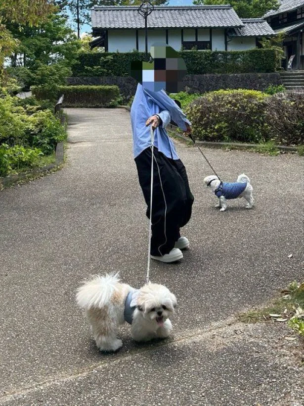 真逆の方向に進む2匹▶まるでぬいぐるみ?(⇒次へ)