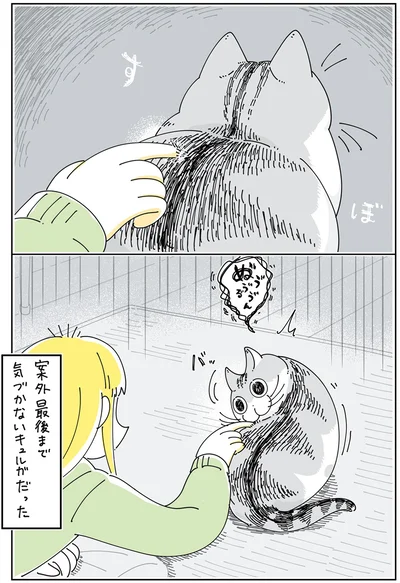 案外最後まで気づかない