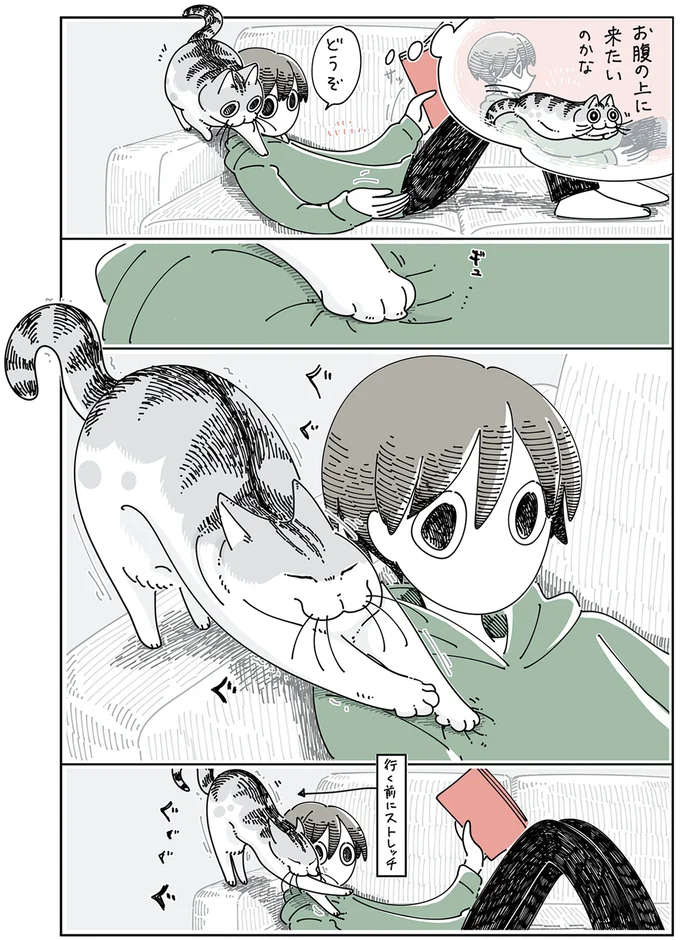 お腹の上に来たいのかな