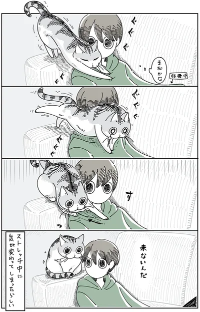 来ないんだ