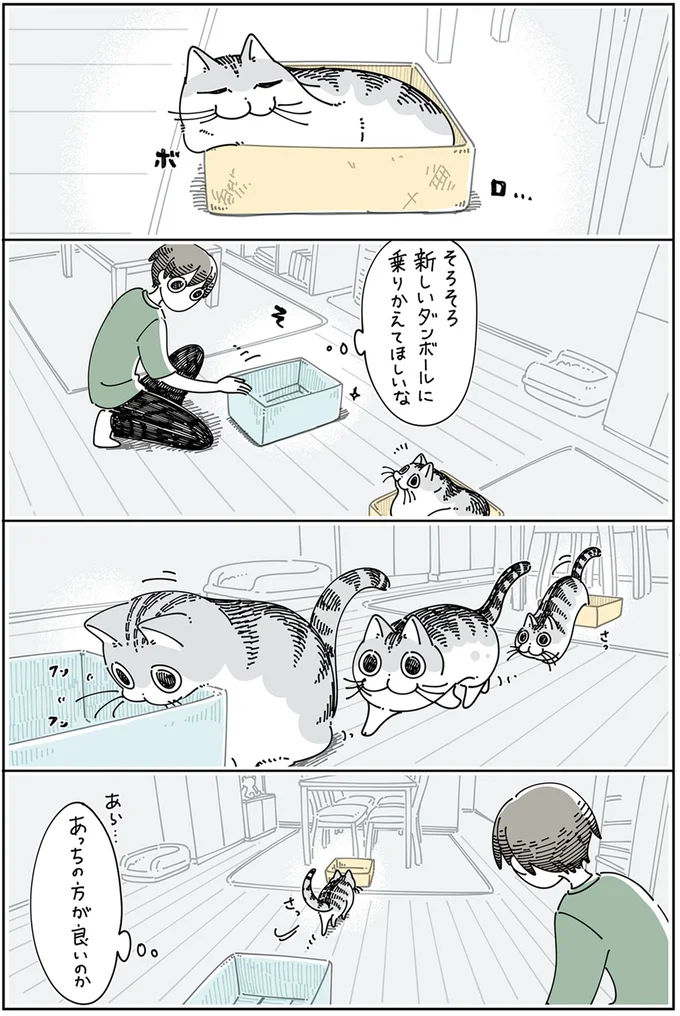 ボロボロダンボール
