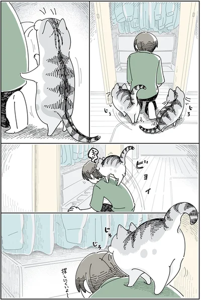 探しにくいよ〜