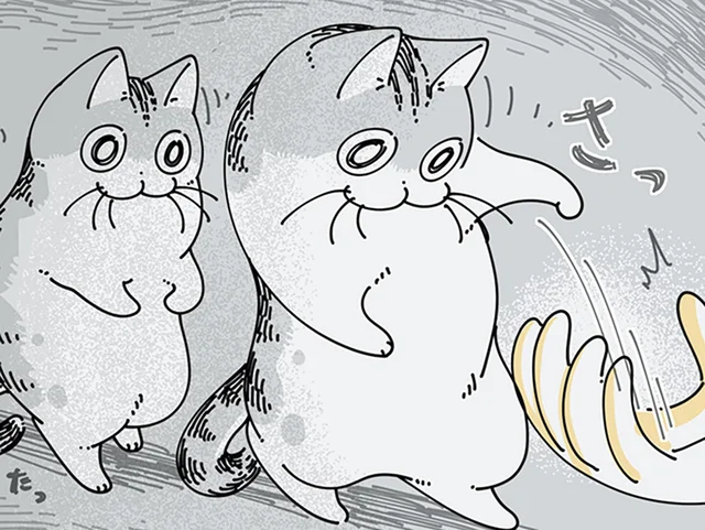 中に入りたいネコVS出したい飼い主。クローゼットで静かに始まる攻防