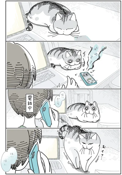 電話が気に入らないっぽいネコ