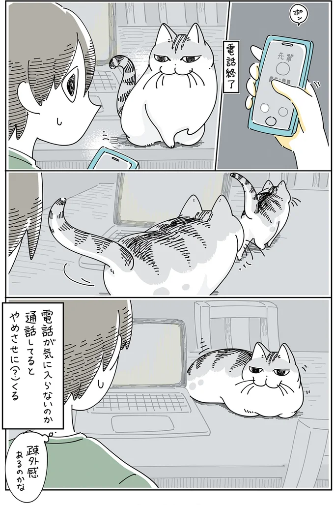 やめさせに(?)くる