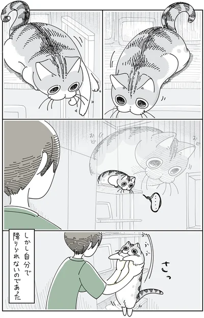 しかし自分で降りられない