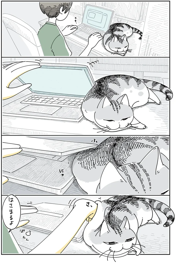 はさまりそうなネコ