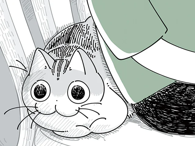 気づいてないのか、わざとなのか。体が挟まりそうな場所にいるネコ