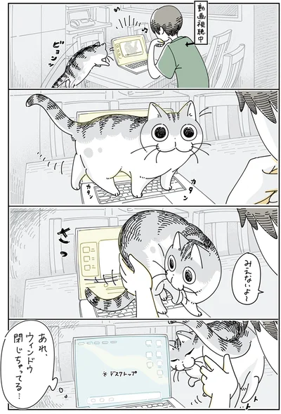 ショートカットキーを使うネコ