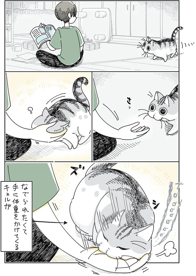 手に体重をかけてくる
