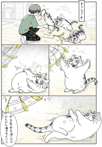 とどきそうでとどかないネコじゃらし