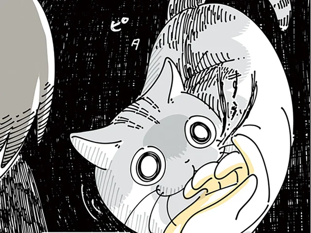 急に冷静になる!? 撫でられながら指の匂いチェックをしてくるネコ