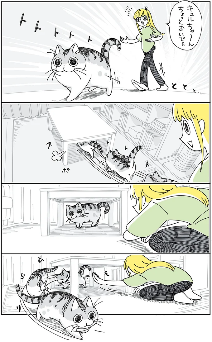 つかまらないネコ