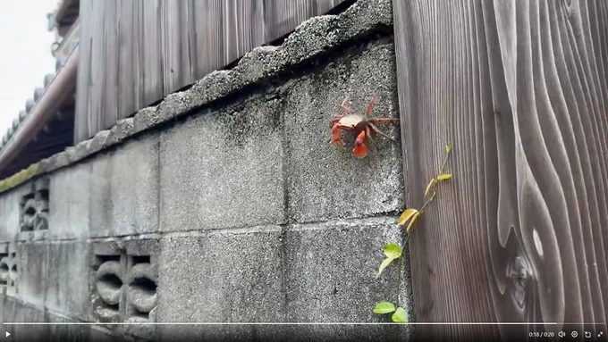 フレームアウトするおこげくん▶笑顔がカワイイおこげくん(⇒次へ)