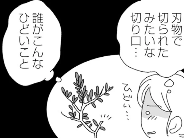 玄関先の靴が消え、植木が切られる。新居で続く小さな異変に、募っていく不安／腐りゆく家族（4）