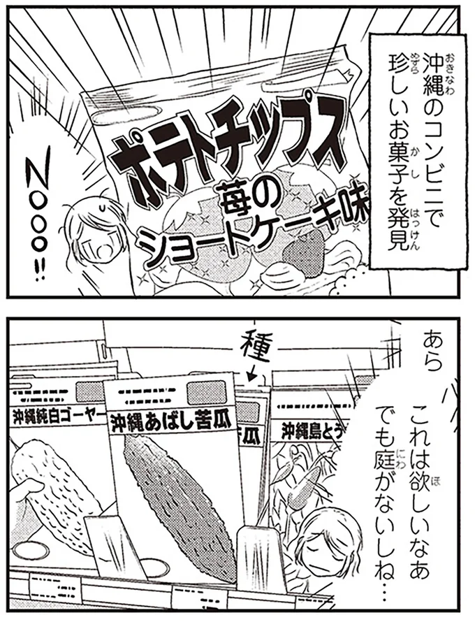 沖縄のコンビニで珍しいお菓子を発見