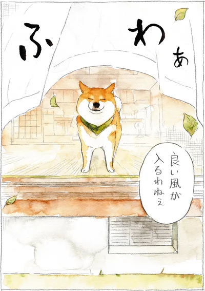 『柴犬ぽんちゃん、今日もわが道を行く』より