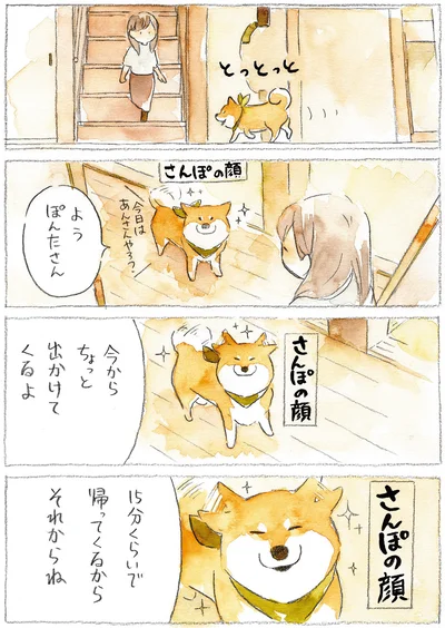 『柴犬ぽんちゃん、今日もわが道を行く』より