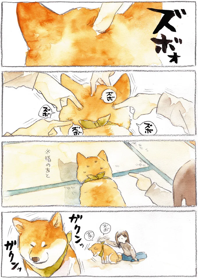 『柴犬ぽんちゃん、今日もわが道を行く』より