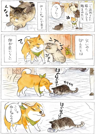 『柴犬ぽんちゃん、今日もわが道を行く』より