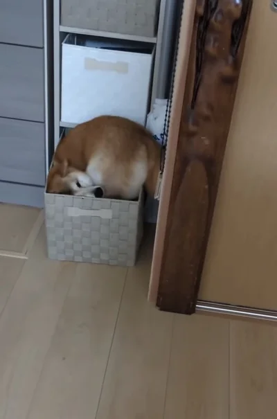 入らない…▶立ち上がって…（⇒次へ）