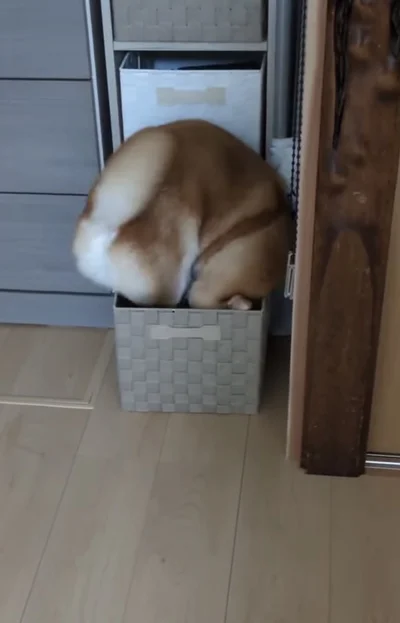 ぐるぐる回る▶しっくりくる場所を探して…（⇒次へ）