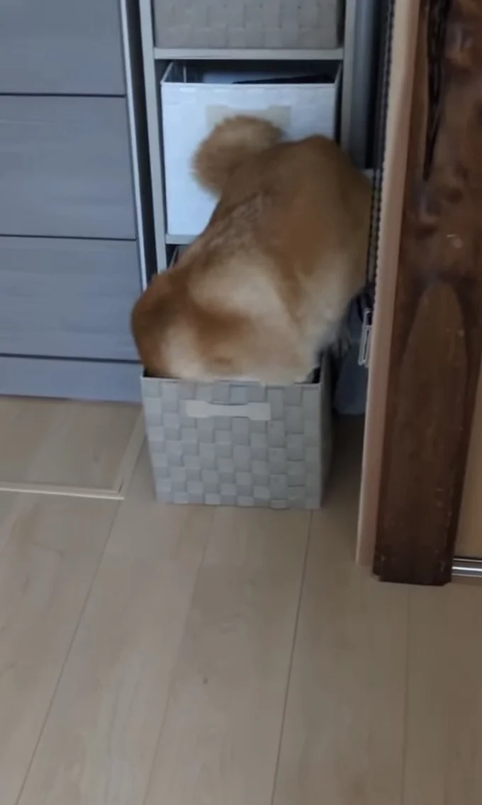 左に行ってみる▶ちょっと違う…(⇒次へ)