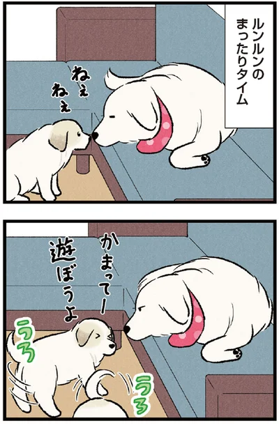 ルンルンのまったりタイム