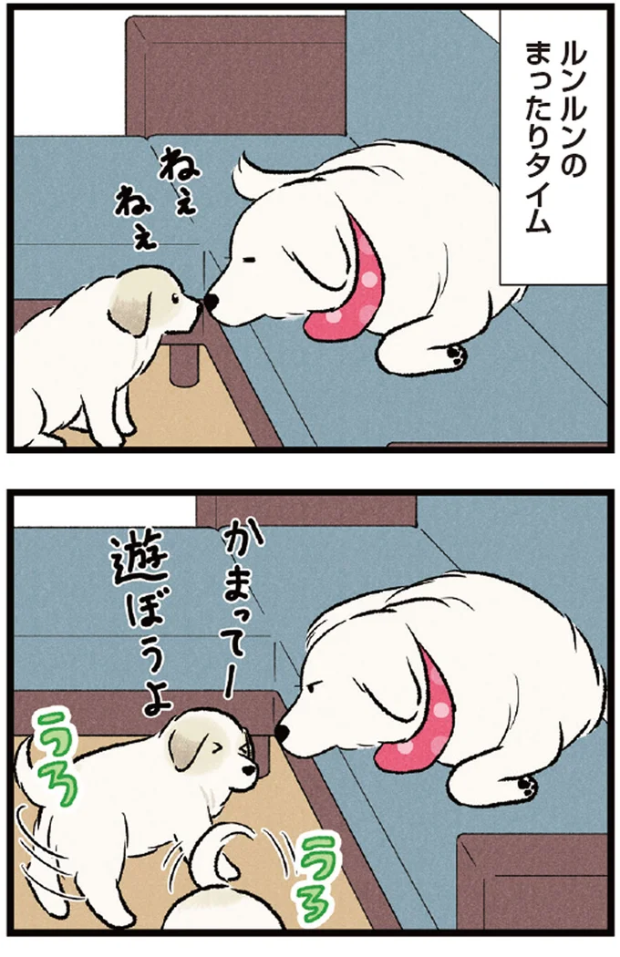 ルンルンのまったりタイム
