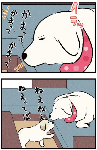 かまってかまって