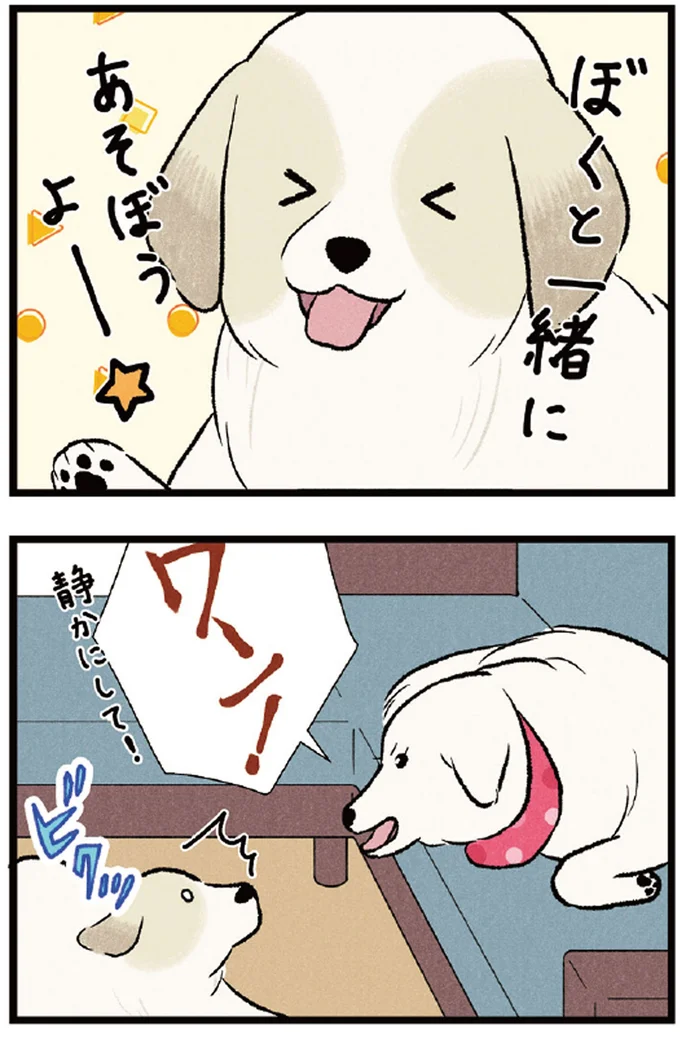 あそぼうよー