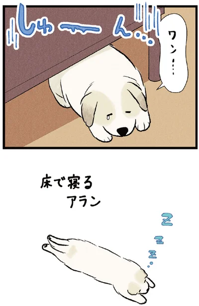 しゅーん...