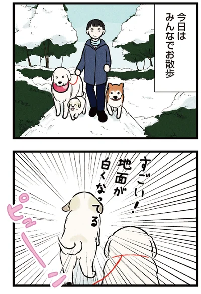『今日のルンルン 超大型犬は愛もでかい』より