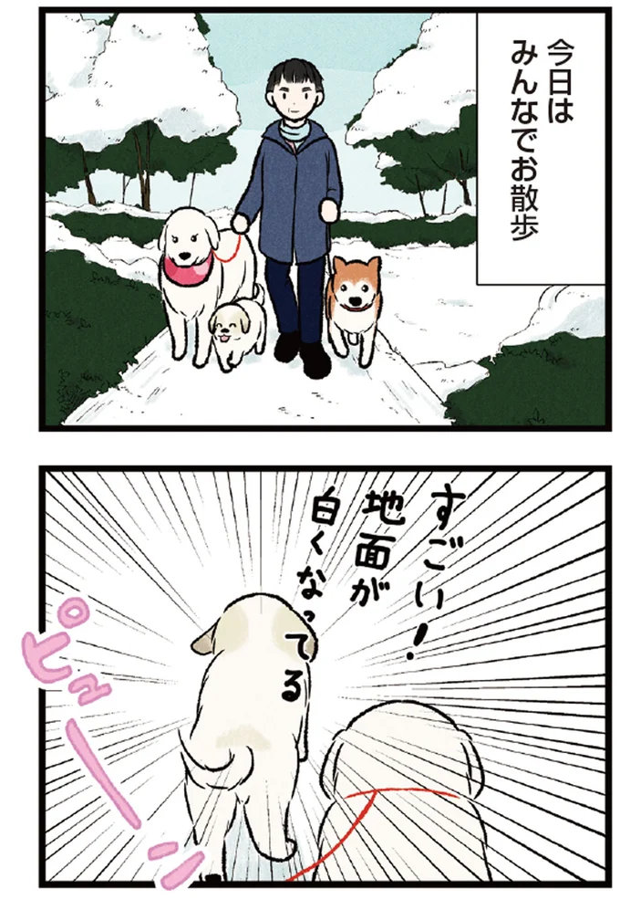 『今日のルンルン 超大型犬は愛もでかい』より
