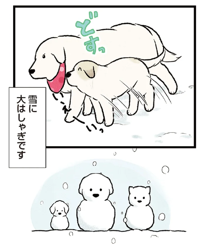 『今日のルンルン 超大型犬は愛もでかい』より