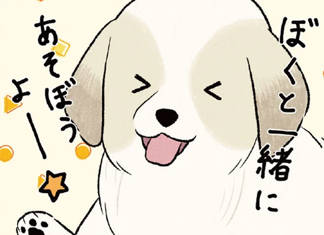 まったりしたい先輩犬に「遊ぼう！」新入り大型犬が猛アピールした結果
