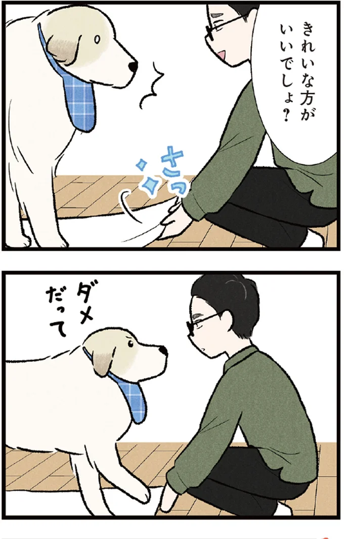 『今日のルンルン 超大型犬は愛もでかい』より