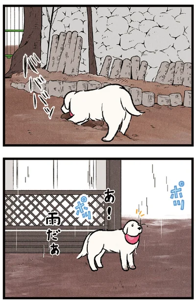 『今日のルンルン 超大型犬は愛もでかい』より