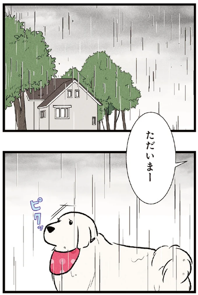 『今日のルンルン 超大型犬は愛もでかい』より