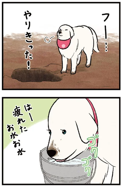 『今日のルンルン 超大型犬は愛もでかい』より