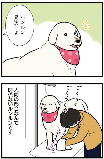『今日のルンルン 超大型犬は愛もでかい』より
