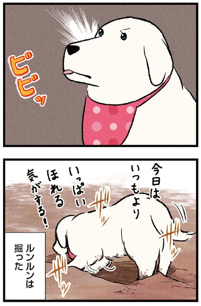 『今日のルンルン 超大型犬は愛もでかい』より
