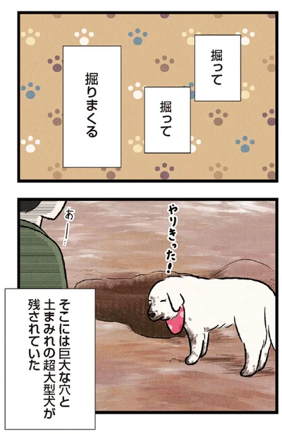 『今日のルンルン 超大型犬は愛もでかい』より