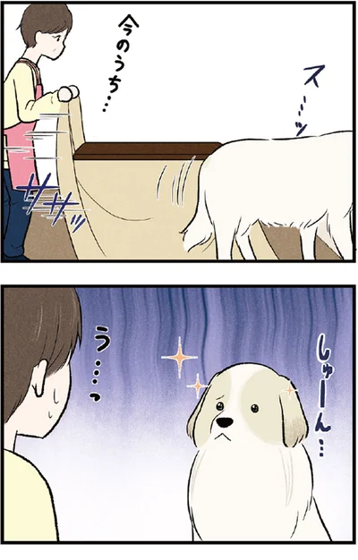 『今日のルンルン 超大型犬は愛もでかい』より