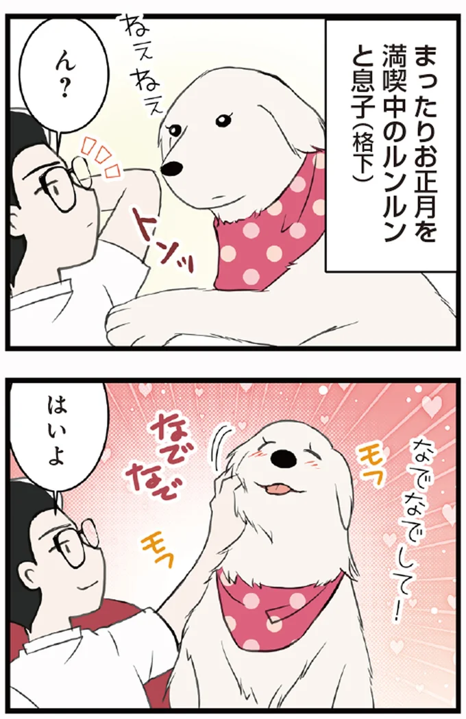 まったりお正月を満喫中のルンルンと息子(格下)